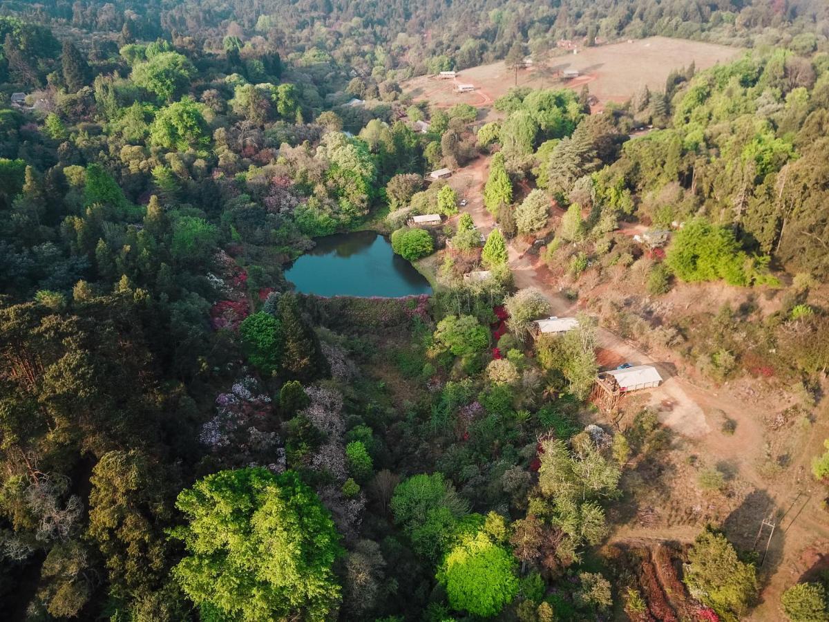 Africamps Magoebaskloof Villa Exterior photo