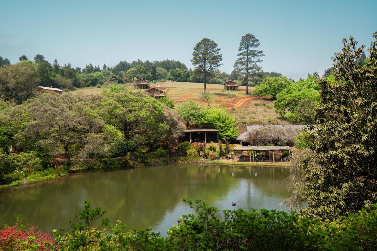 Africamps Magoebaskloof Villa Exterior photo